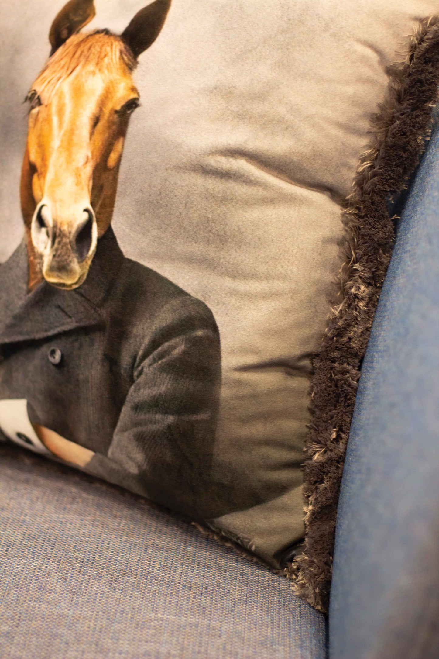 Decorative pillow, horse in a coat